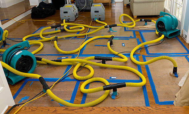 Professional Water Damage Repair technician working in Weir, TX